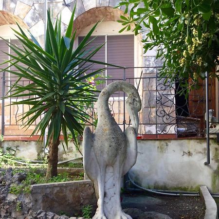 Villa Merina В'єсте Екстер'єр фото
